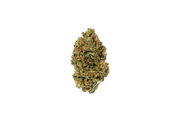 ROCK BUD Rock Bud (AA) Weed of Doobdasher, Canada