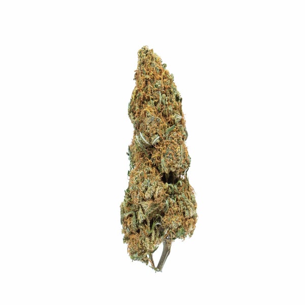 Meat Breath (AA) Weed of Doobdasher, Canada