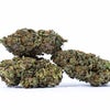 Purple Haze (AAA+) - Doobdasher