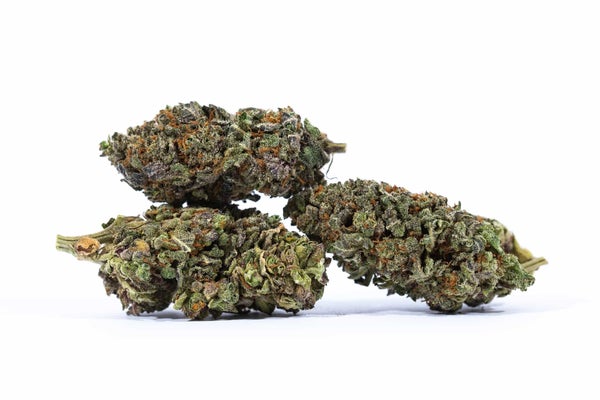 purple-haze-3 Purple Haze (AAA+) - Doobdasher