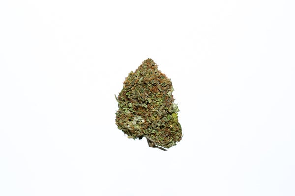 3Q4A0933-min 3Q4A0933-min