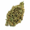 Papaya Punch Weed of Doobdasher, Canada
