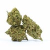 Papaya Punch (AA) of Doobdasher, Canada