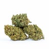 UK Cheese Weed of Doobdasher, Canada