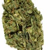 UK Cheese Weed of Doobdasher, Canada