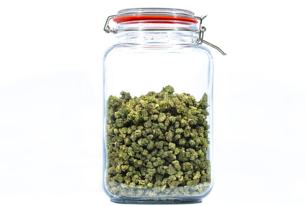 DONKEY BUTTER POP 2 DONKEY BUTTER POP 2