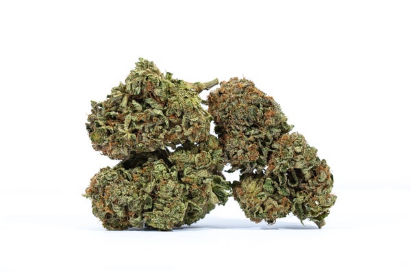 ERDPURT-cannabis-strain-buy-online-canada- ERDPURT-cannabis-strain-buy-online-canada-