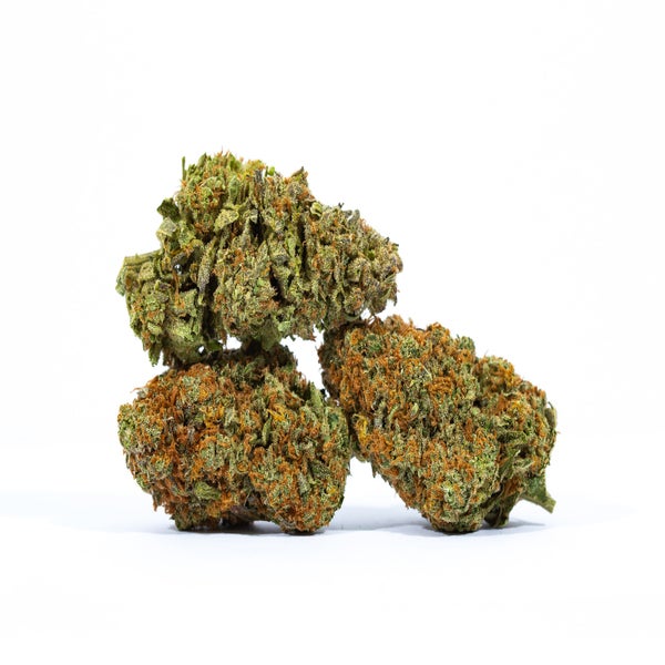 GELATO 41 - 3-min