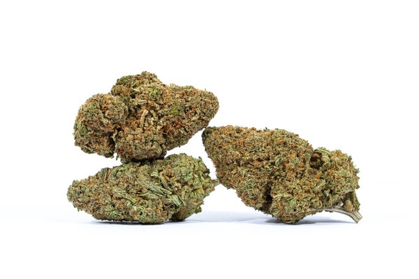 SOUR HAZE - 3 SOUR HAZE - 3