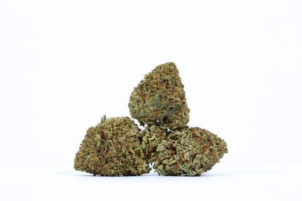 STARFIGHTER-weed-strain-buy-online-canada- STARFIGHTER-weed-strain-buy-online-canada-