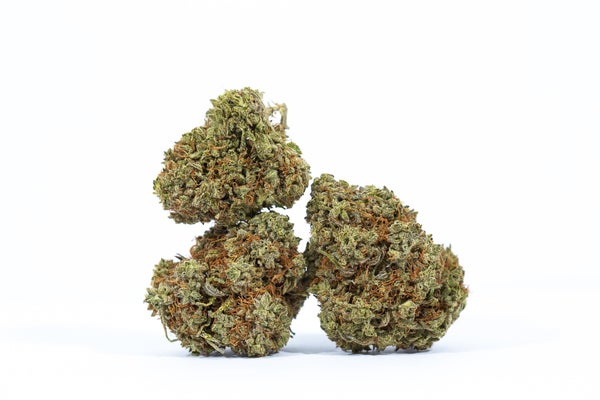 XXX OG-cannabis-strain-buy-online-canada- XXX OG-cannabis-strain-buy-online-canada-
