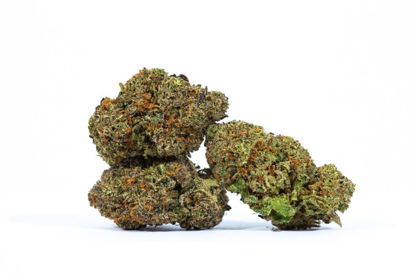 10TH PLANET - 3 10TH PLANET - 3