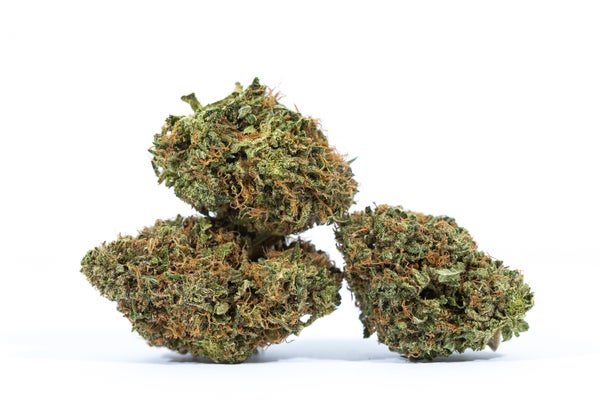 FIRE STOMPER 3 FIRE STOMPER 3