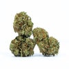 Ingrid (AA) Weed of Doobdasher, Canada