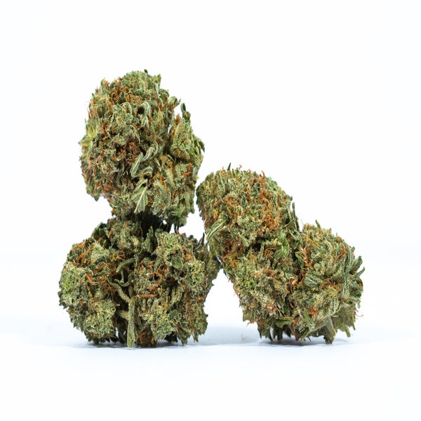Ingrid (AA) Weed of Doobdasher, Canada