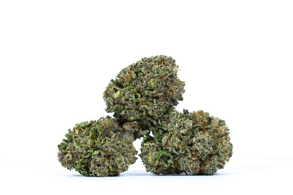 PURPLE AURORA - 3-min PURPLE AURORA - 3-min