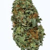 Recon (AA) Weed of Doobdasher, Canada