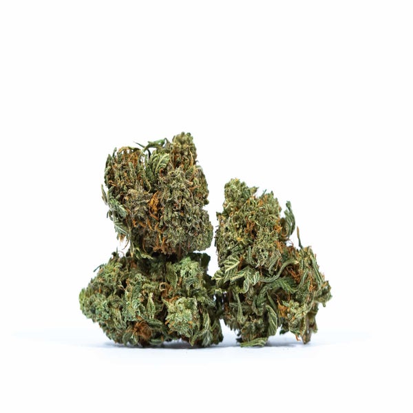 Recon (AA) Weed of Doobdasher, Canada