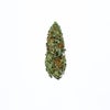 Recon (AA) Weed of Doobdasher, Canada