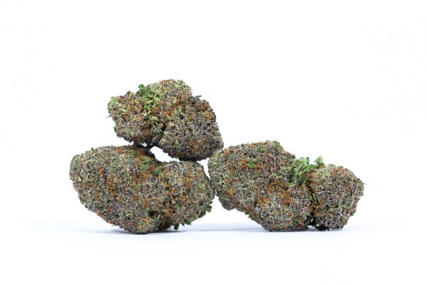 PURPLE GOD - 3 PURPLE GOD - 3