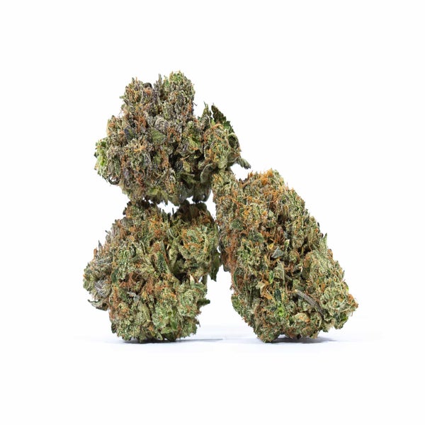 Mr. Nice (AAA+) Weed of Doobdasher, Canada