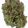Mr. Nice (AAA+) Weed of Doobdasher, Canada