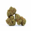 Dutch Haze (AA+) Weed of Doobdasher, Canada