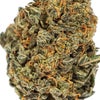Grapefruit Haze (AA) Weed of Doobdasher, Canada