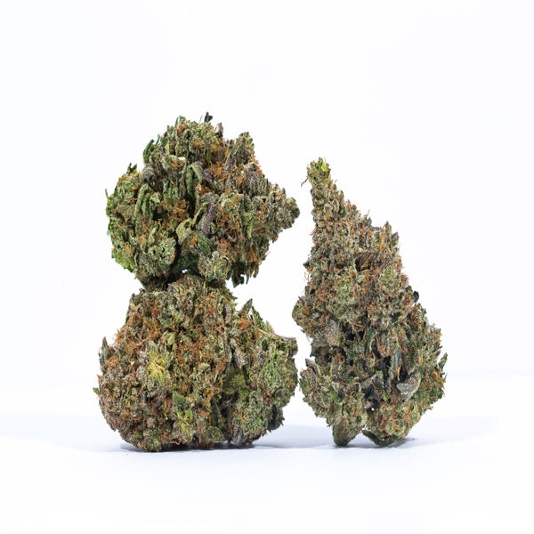 Charlie Sheen (AAAA) Weed of Doobdasher, Canada