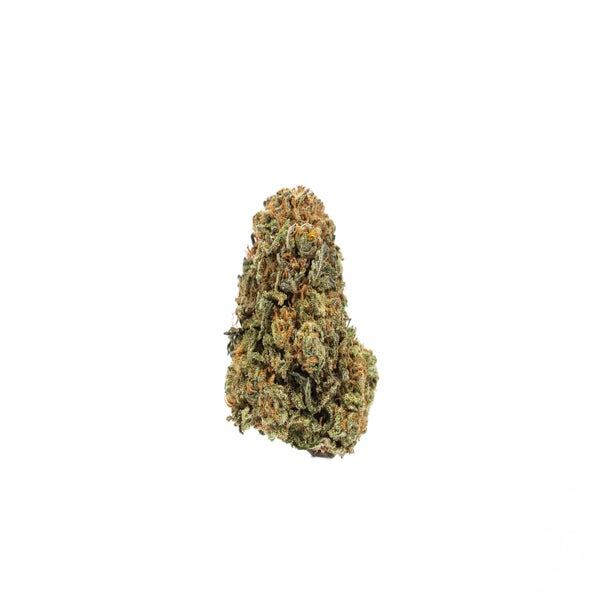Duke Nukem (AA) Weed of Doobdasher, Canada
