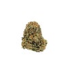 Duke Nukem (AA) Weed of Doobdasher, Canada