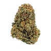 Duke Nukem (AA) Weed of Doobdasher, Canada