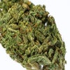 Lamb's Breath (AA) Weed of Doobdasher, Canada