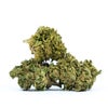 Lamb's Breath (AA) Weed of Doobdasher, Canada