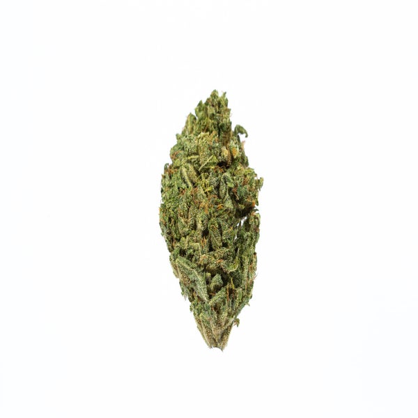Lamb's Breath (AA) Weed of Doobdasher, Canada