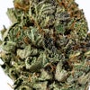 Presidential OG (AAA) Weed of Doobdasher, Canada