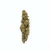 ZaZa (AA) Weed of Doobdasher, Canada