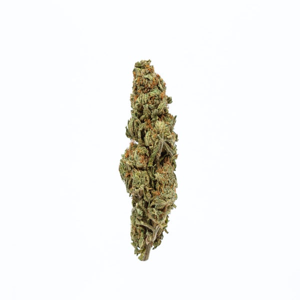 ZaZa (AA) Weed of Doobdasher, Canada