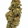 ZaZa (AA) Weed of Doobdasher, Canada