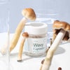 Microgenix - Microdose Wavy Web Capsules (Vegan) of Doobdasher, Canada