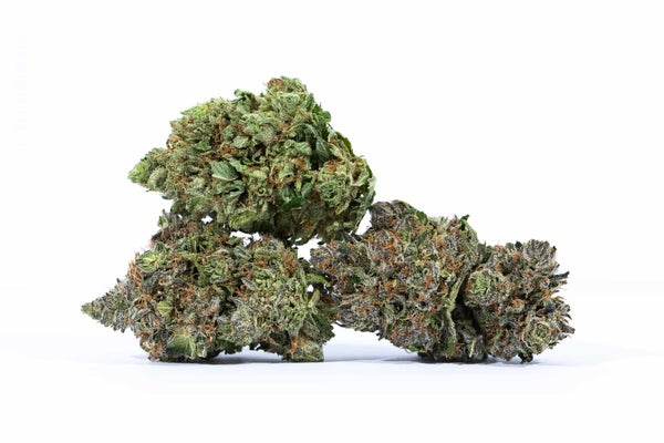 ubc-chemo-3 ubc-chemo-3