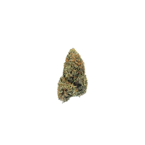 BLACK-DOMINA-2-min.jpg