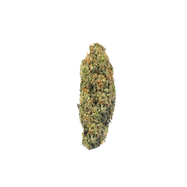 BUBBA-GIFT-2-min-1.jpg
