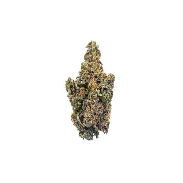 JEDI-KUSH-2-min.jpg