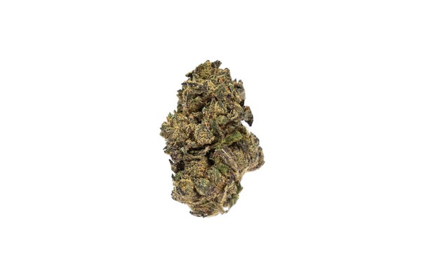 PURPLEKUSH-1-min.jpg PURPLEKUSH-1-min.jpg