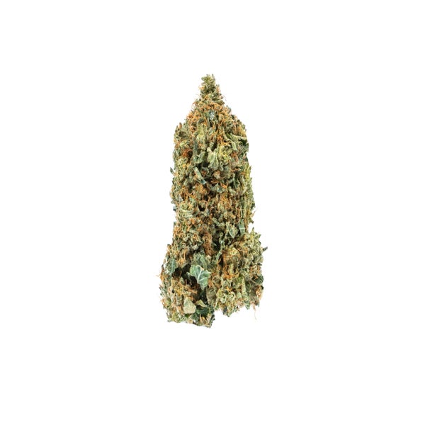 PINKBUBBA-1-min.jpg