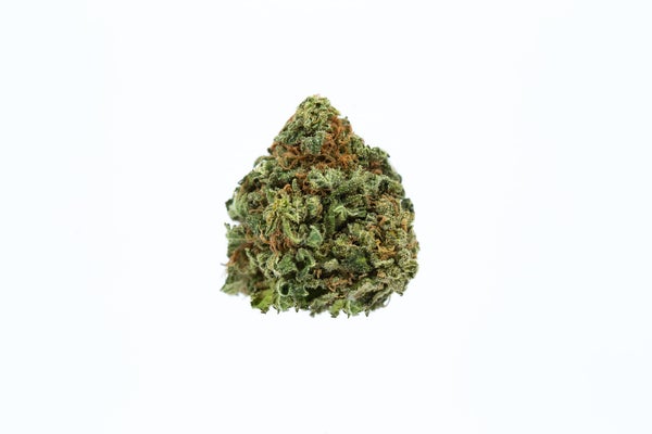 CHEMO-1.jpg CHEMO-1.jpg