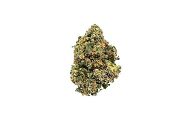 ISLANDPINK-1-min.jpg ISLANDPINK-1-min.jpg