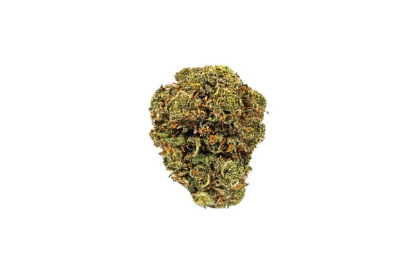 icewreck-3-min.jpg icewreck-3-min.jpg