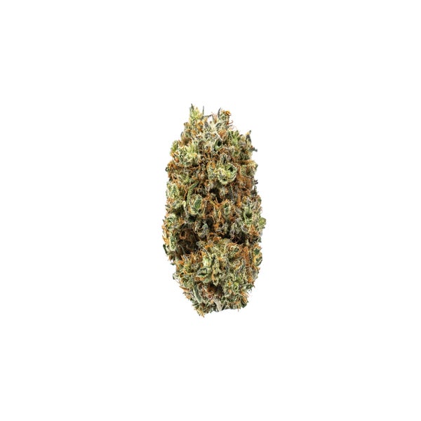 PLATGSC-1-min.jpg